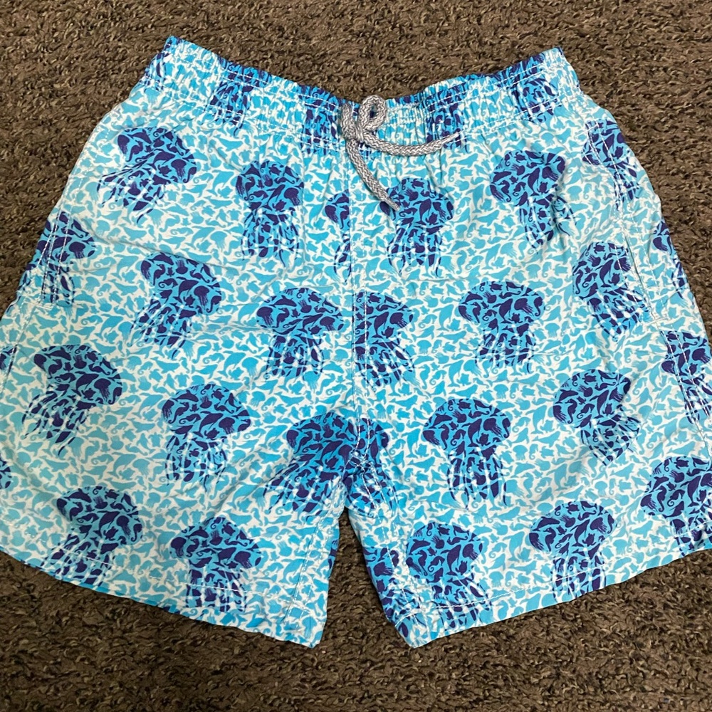 Vilebrequin trunks size 12 in great condition.